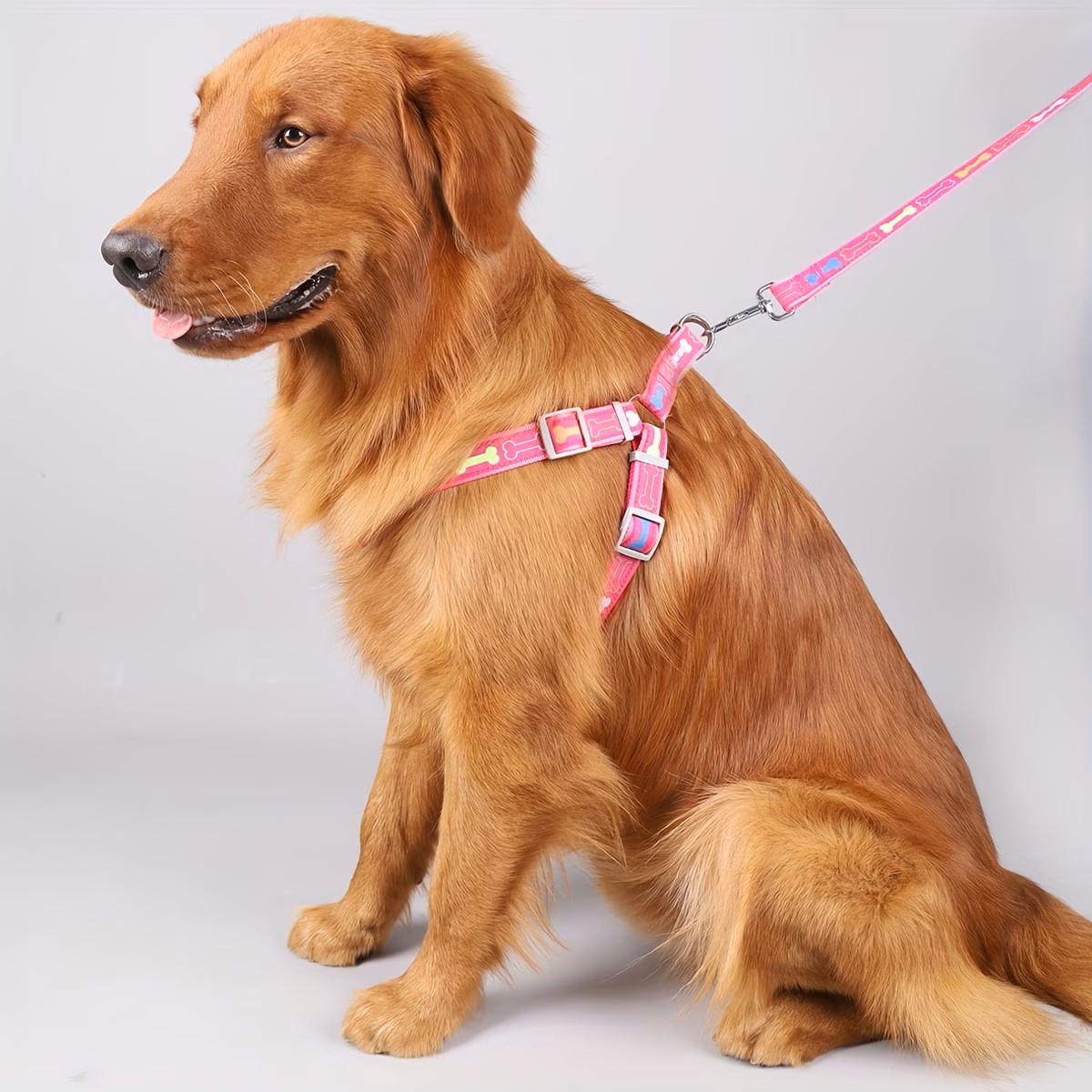 Adjustable Dog Harness with Qu - đánh giá và giá D Ring Strap