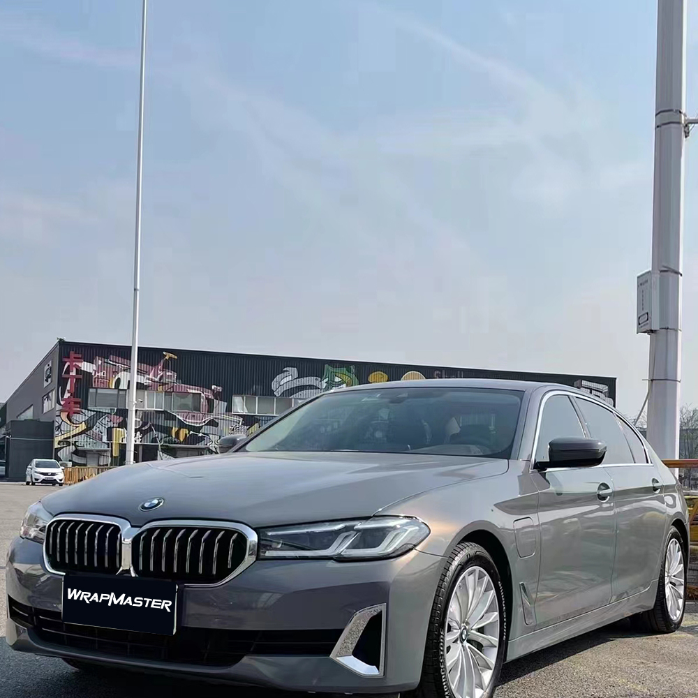 PET Backing Paint Protection S - đánh giá và giá Metallic Spray Paint